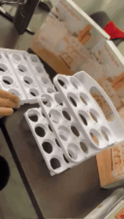 ORGANIZADOR DE HUEVOS